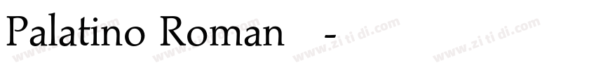 Palatino Roman 常规字体转换